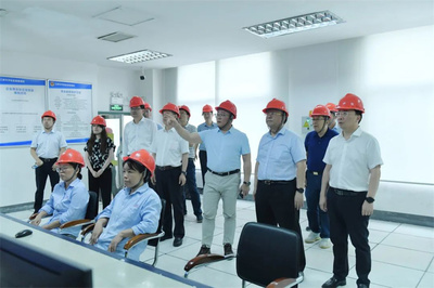 最高法咨詢委員會副主任兼秘書長杜萬華一行蒞臨澄星股份考察指導(dǎo)